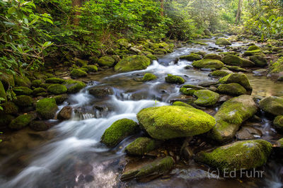 Cades Cove Stream