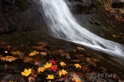 Fall's Fall