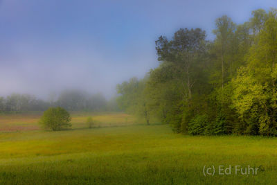 Spring Impression in Cades Cove