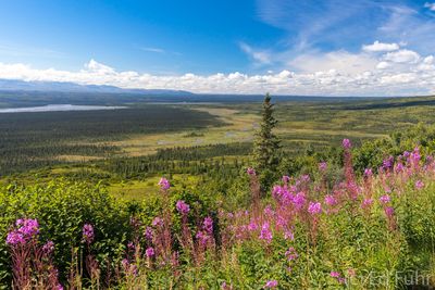 Summer Valley View