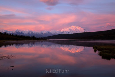 Denali Dawn