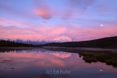 Morning Glow at Wonder Lake