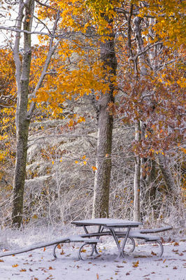 Time for a Picnic