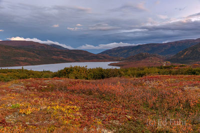 Autumn Valley by Wonder Lake