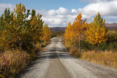 Fall Along the Park Road