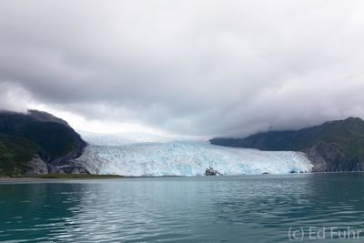 Aialik Glacier