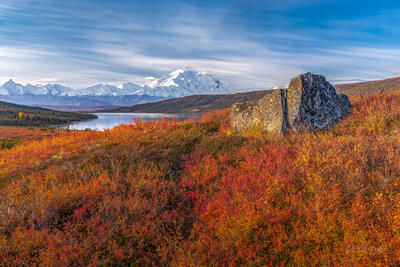 Blueberry Hill