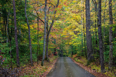 Early Fall, Loop Road