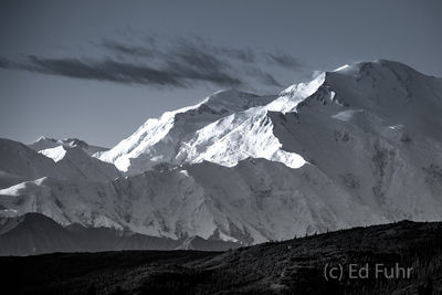 Classic Portrait of Denali