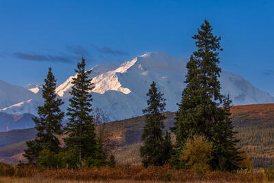 Morning View from Camp Denali