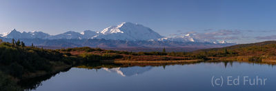 Reflection Pond