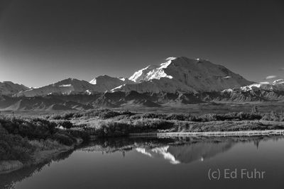 Reflection Pond in Black and White