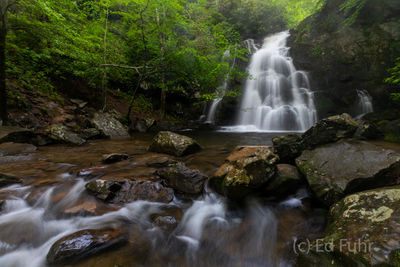 Spruce Flats Cascades