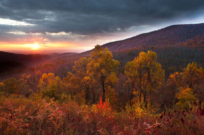 A Magical Morning in Shenandoah