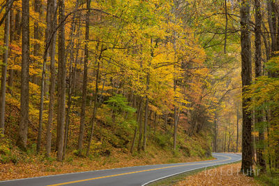 Autumn Drive, Great Smoky Mountains, 2016