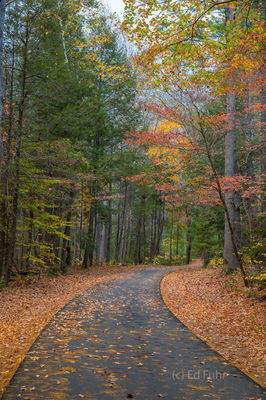 Cades Cove Autumn Drive