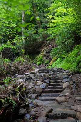 Stairway to Heaven