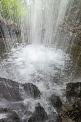 A View Through the Falls