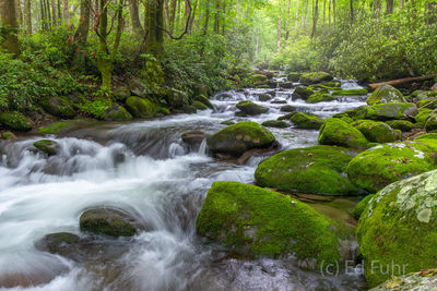 Roaring Fork