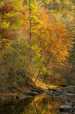 Autumn Stream Reflections