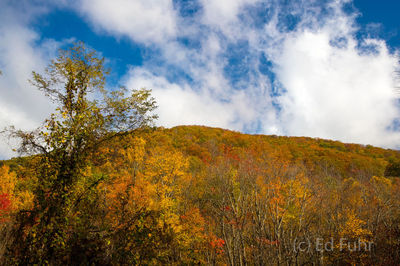 Autumn Ridge, Great Smoky Mountains