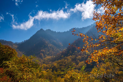 Autumn Overlook, 2016