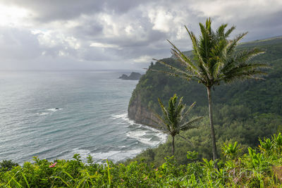 Polulu Overlook