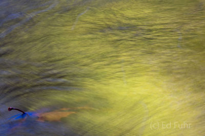 Green Reflections