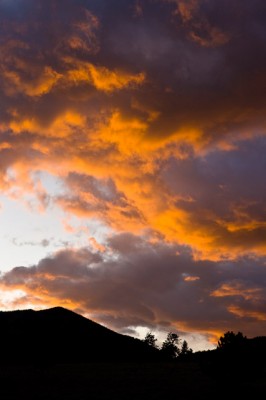 Beaver Meadow Sunset