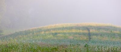 A Gentle Hill