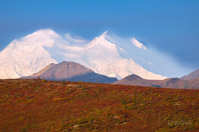 Denali at Surnise, from Savage River