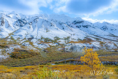 Thorofare Mountain