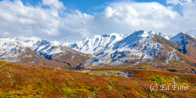 Denali Panorama