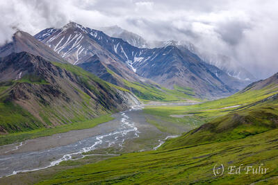 Denali 2026