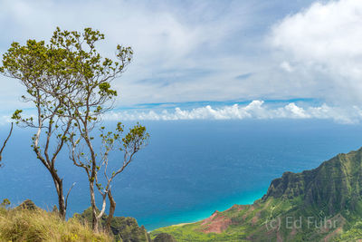 Kalalau Valley Overlook