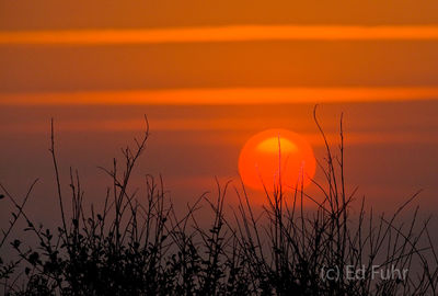 Kiawah Island Sunrise