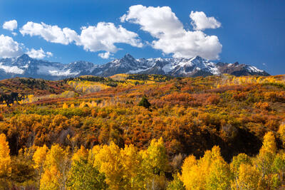Autumn Glory, Dallas Divide