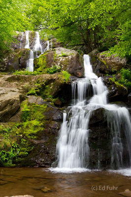 Dark Hollow Falls Vertical