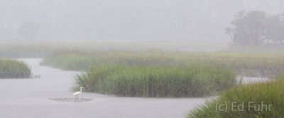 kiawah island, south carolina, low country, beach, photography, image