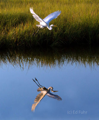 kiawah island, south carolina, low country, beach, photography, image