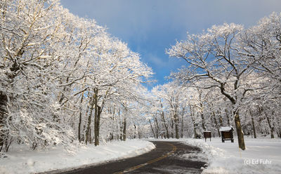 Skyland Resort Entrance in WInter