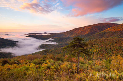 Bacon Hollow Sunrise