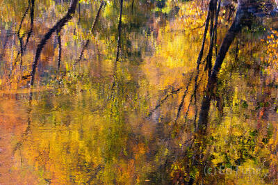 Autumn Reflections on a Still Day