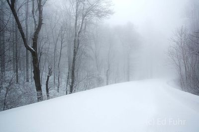 Fog and Blowing Snow on Skyline Drive