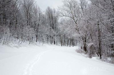 Silence and Serenity on Skyline Drive