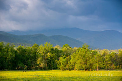 Storm on the Horizon