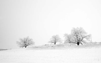 A Snowy Ridge