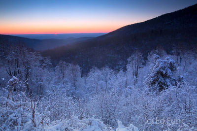 Winter Sunrise