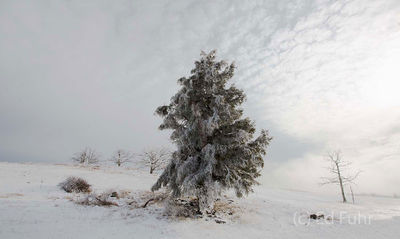 A Wintry Ridge