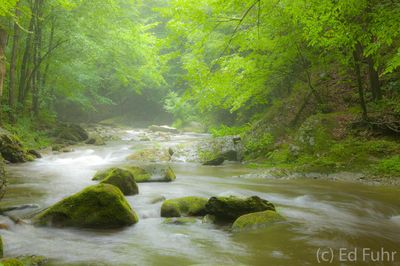 Little River Spring
